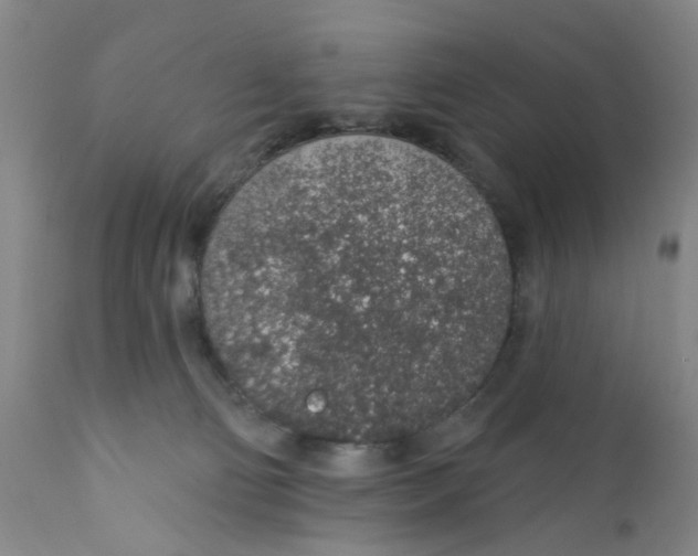 X0000112380130200909101356