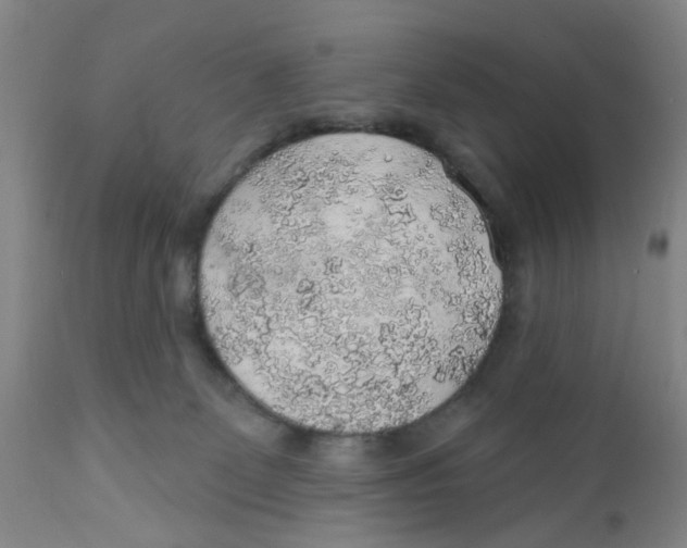 X0000112380131200909101356