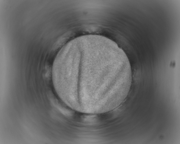 X0000112380132200909101356