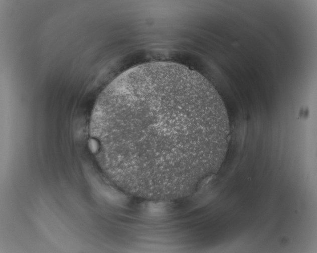 X0000112380134200909101355