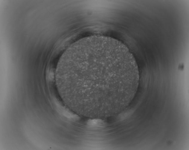 X0000112380137200909101355