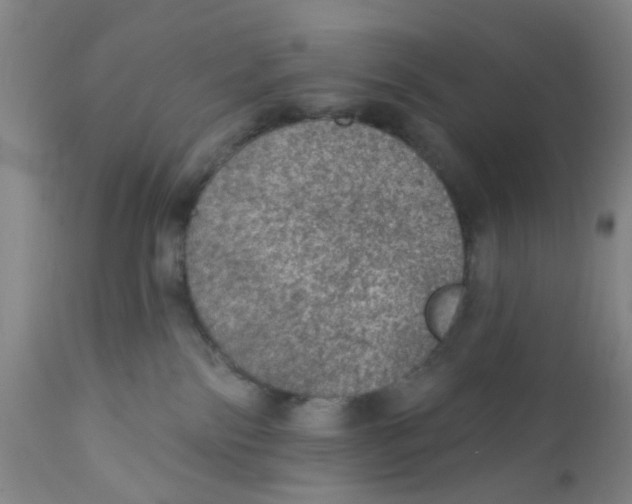 X0000112380138200909101355