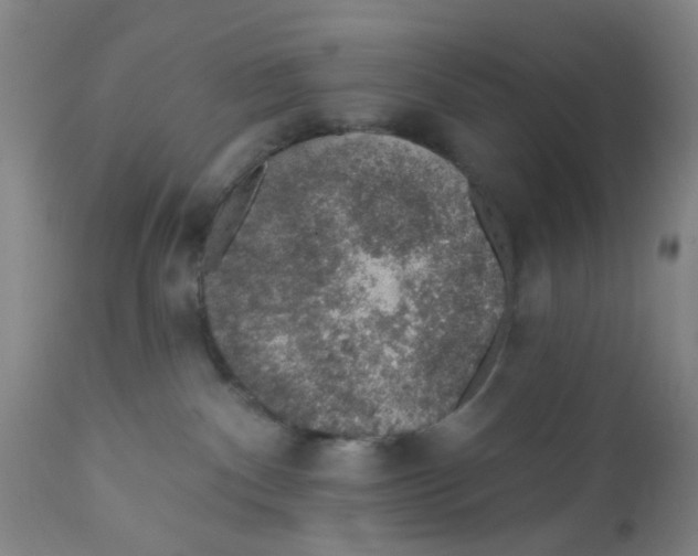 X0000112380140200909101355