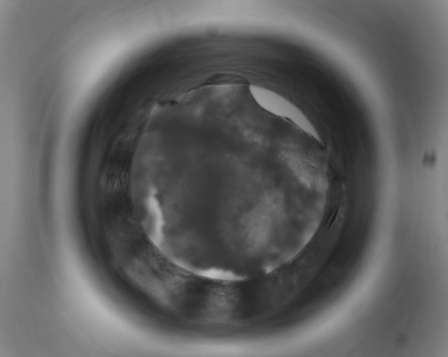 X0000112380143200909101355