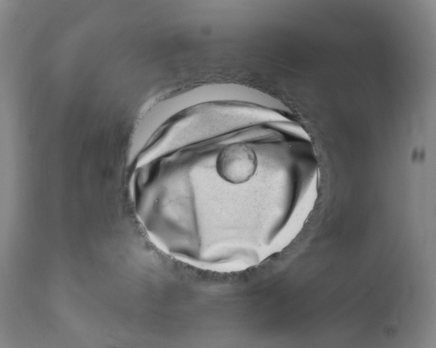 X0000112380144200909101355