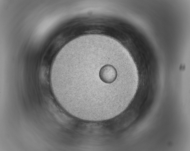 X0000112380146200909101355