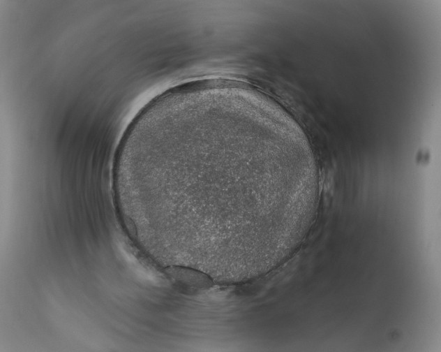 X0000112380148200909101355