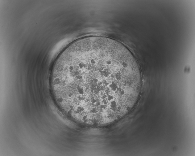 X0000112380149200909101355