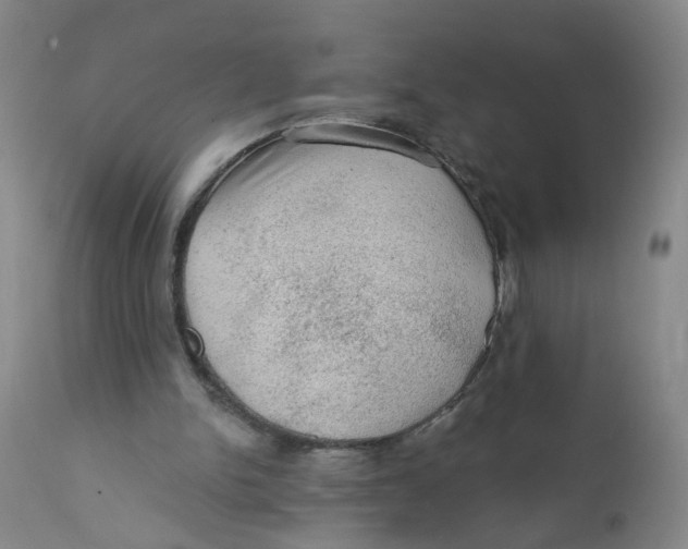 X0000112380150200909101355