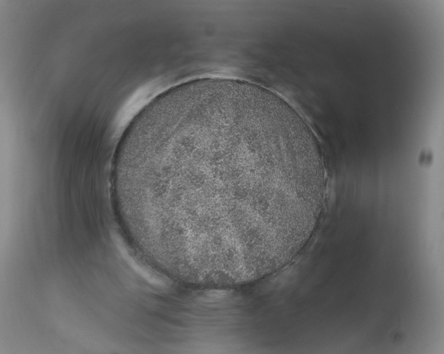 X0000112380151200909101355