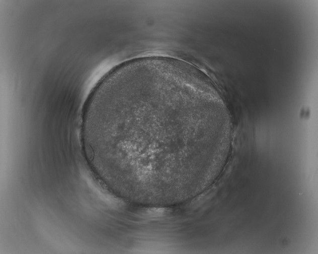 X0000112380152200909101355