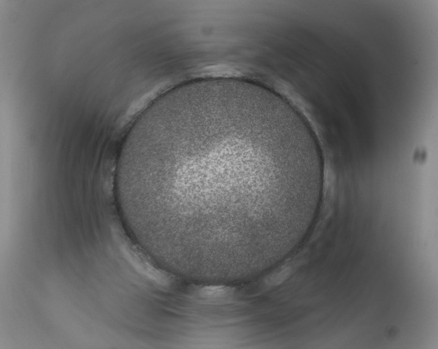 X0000112380153200909101355