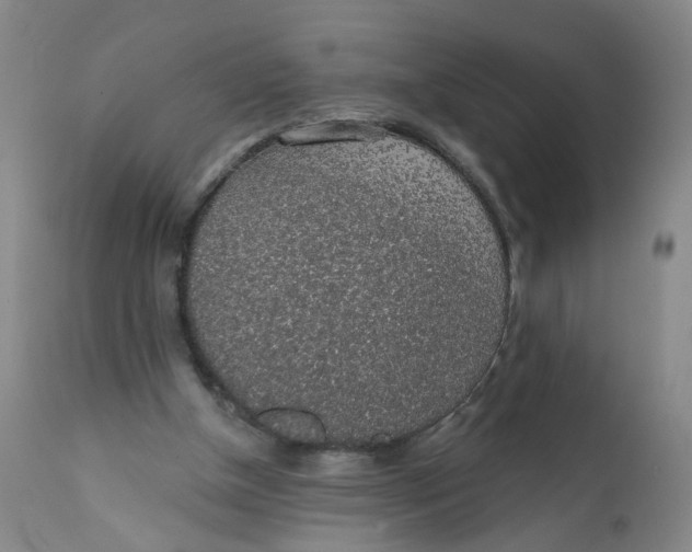 X0000112380154200909101355