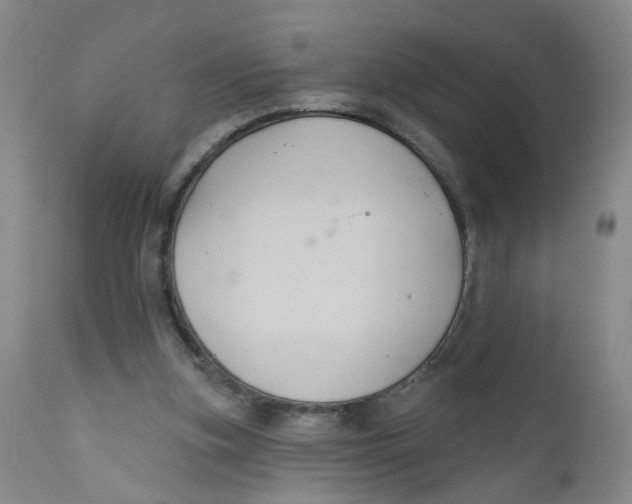 X0000112380155200909101355