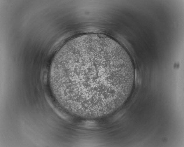 X0000112380157200909101355