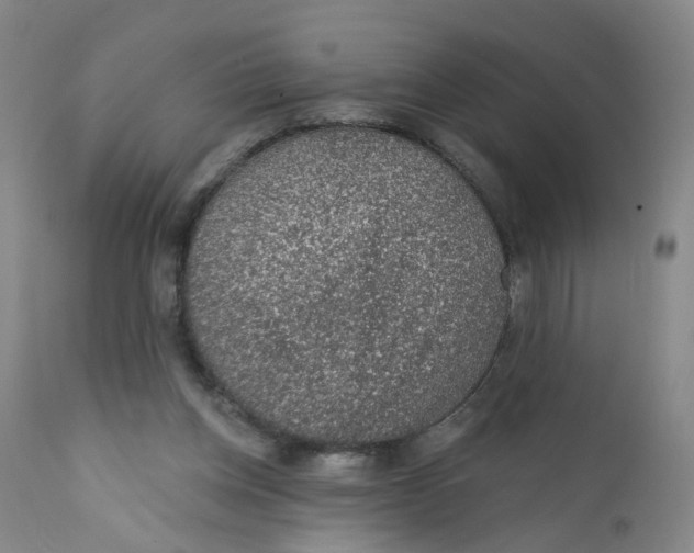 X0000112380158200909101355