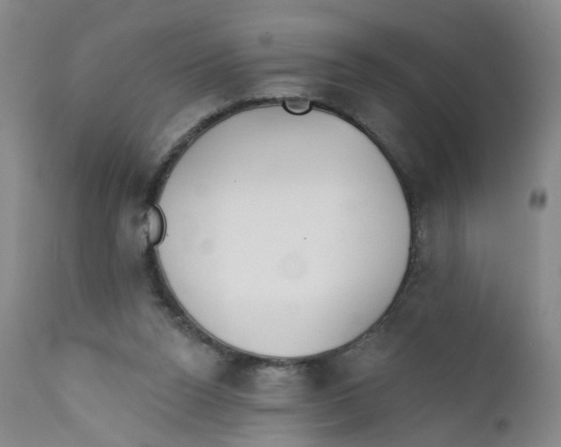 X0000112380160200909101355