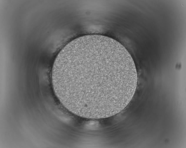 X0000112380162200909101355