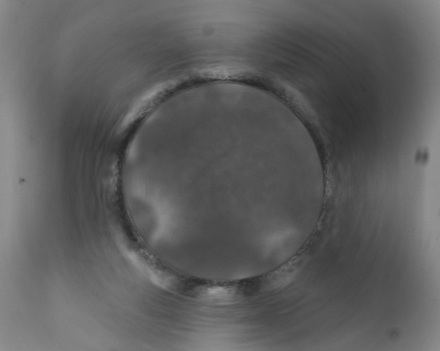 X0000112380163200909101355