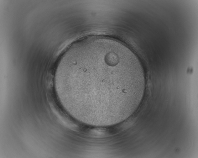 X0000112380164200909101355