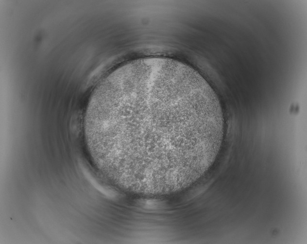 X0000112380165200909101355