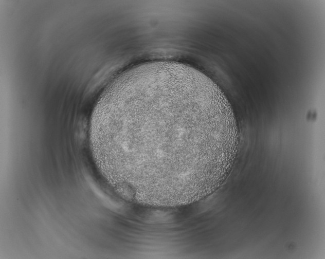 X0000112380166200909101355