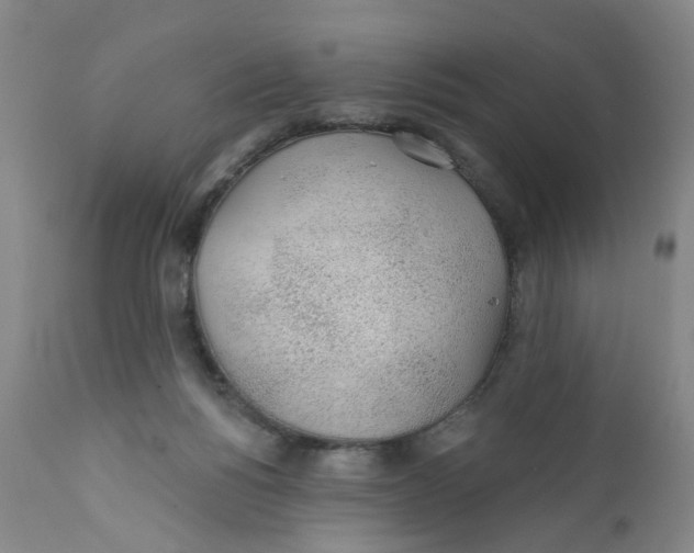 X0000112380168200909101355