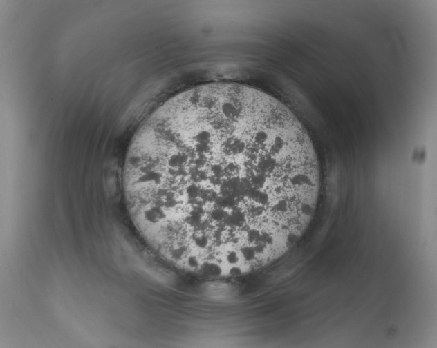 X0000112380169200909101355