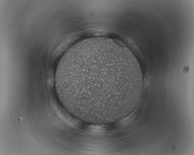 X0000112380170200909101355