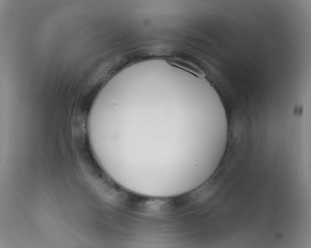 X0000112380172200909101355