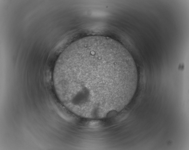 X0000112380173200909101355