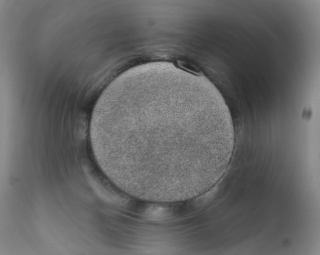 X0000112380174200909101355