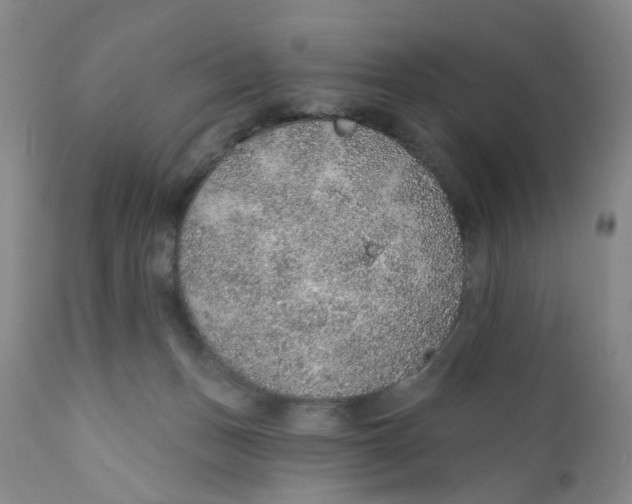 X0000112380175200909101355