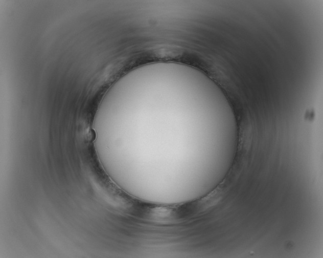 X0000112380176200909101355