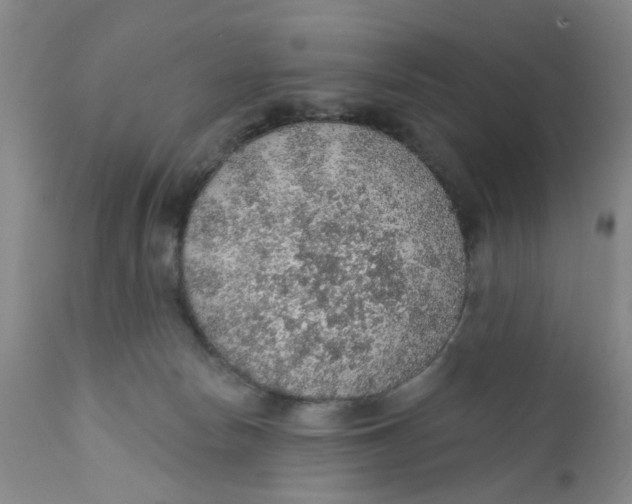 X0000112380178200909101355