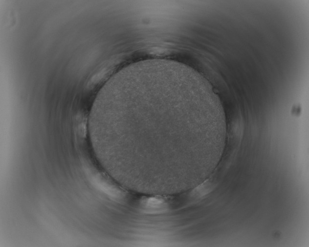 X0000112380180200909101355