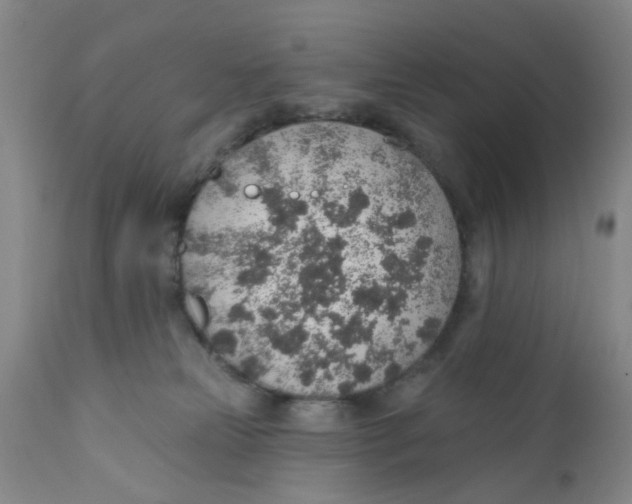 X0000112380181200909101355