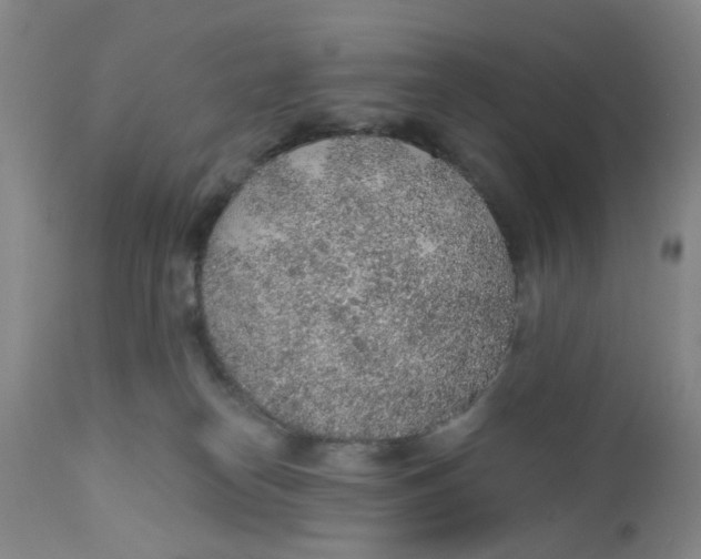 X0000112380182200909101355