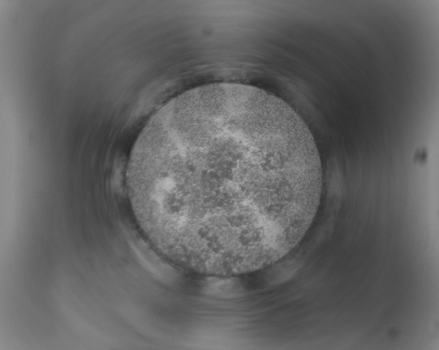 X0000112380185200909101355