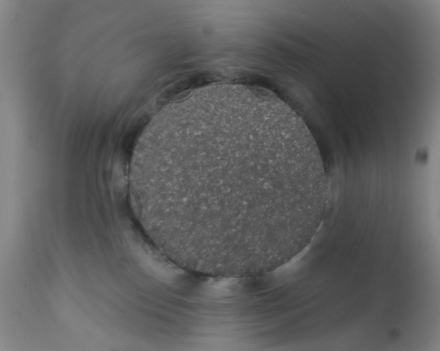 X0000112380186200909101355