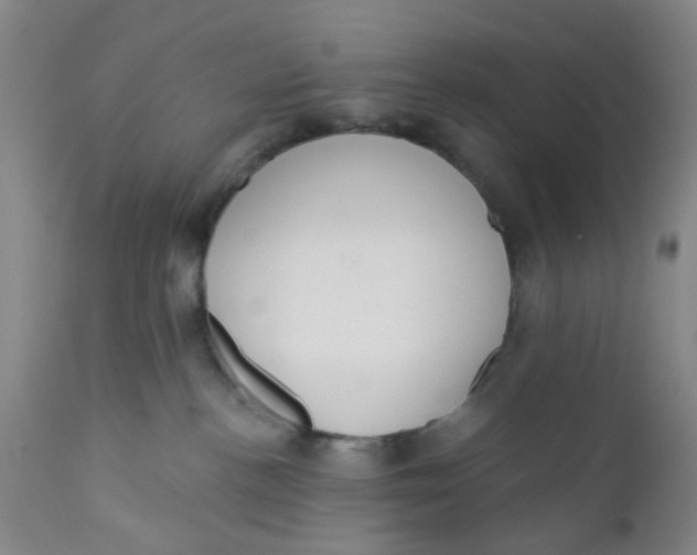 X0000112380188200909101355