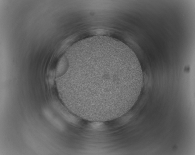 X0000112380189200909101355