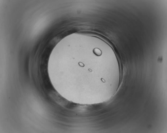 X0000112380190200909101355