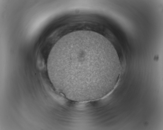 X0000112380191200909101355