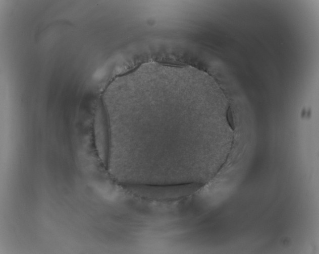 X0000112380192200909101355