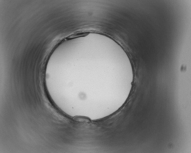 X0000112380193200909101355