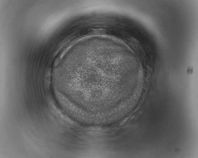 X0000112380194200909101355