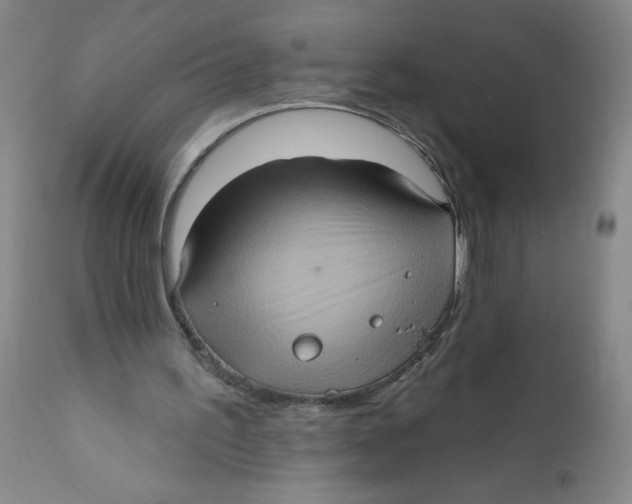 X0000112380195200909101355