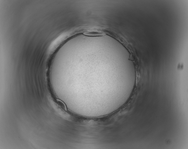 X0000112380197200909101355