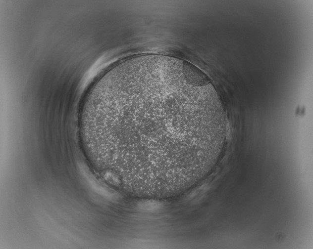 X0000112380198200909101355